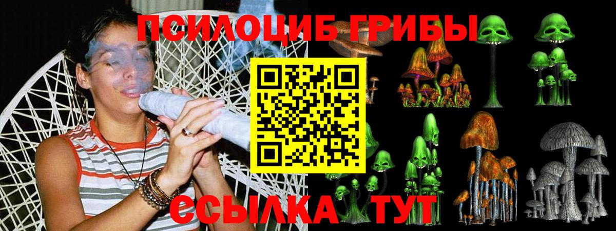 Галлюциногенные грибы Psilocybine cubensis Вичуга