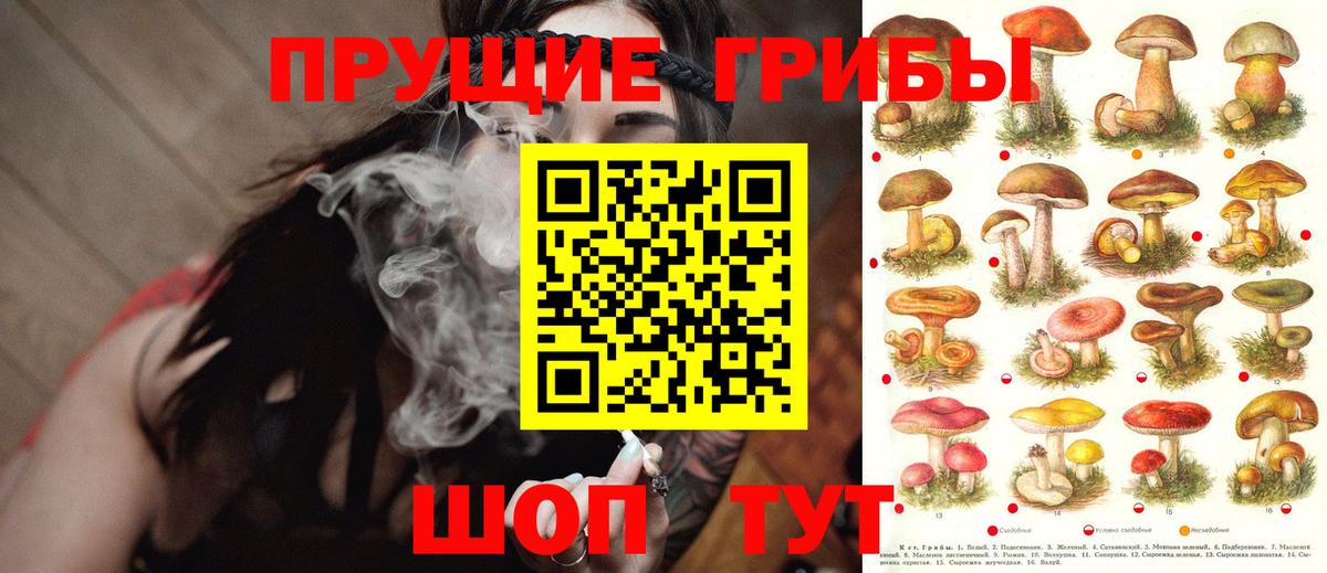 ГАШИШ Вичуга