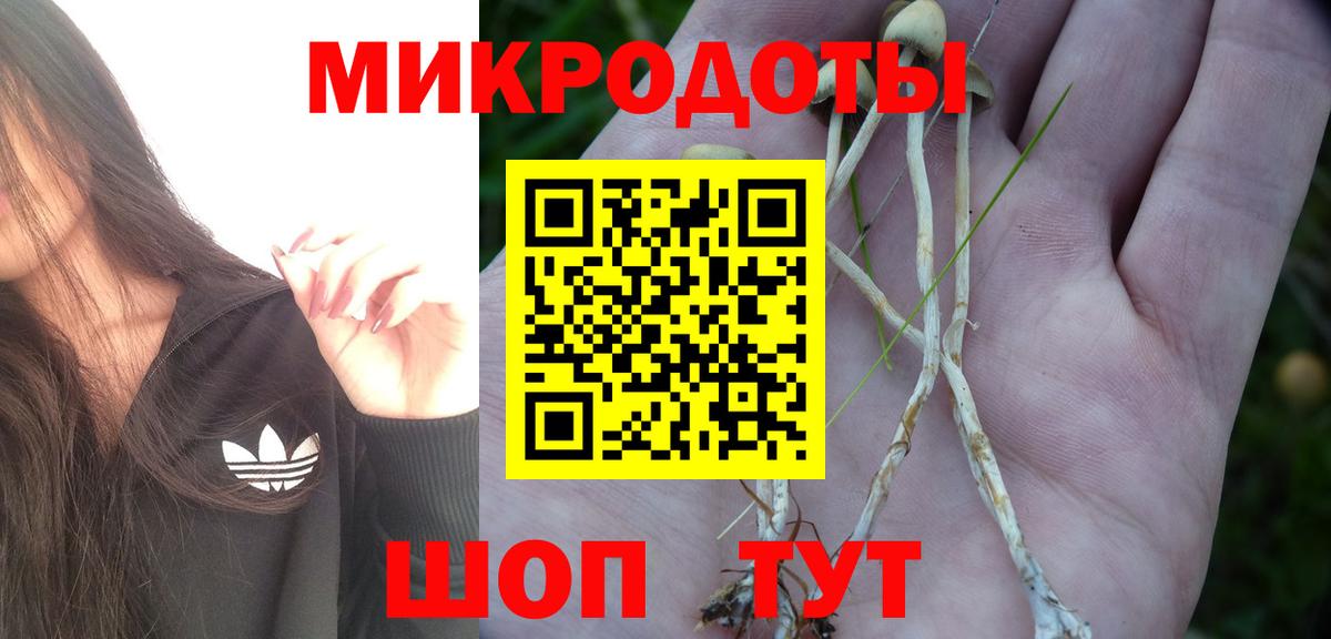 Псилоцибиновые грибы ЛСД  Галлюциногенные грибы ЛСД  Вичуга  Вход с VPN 